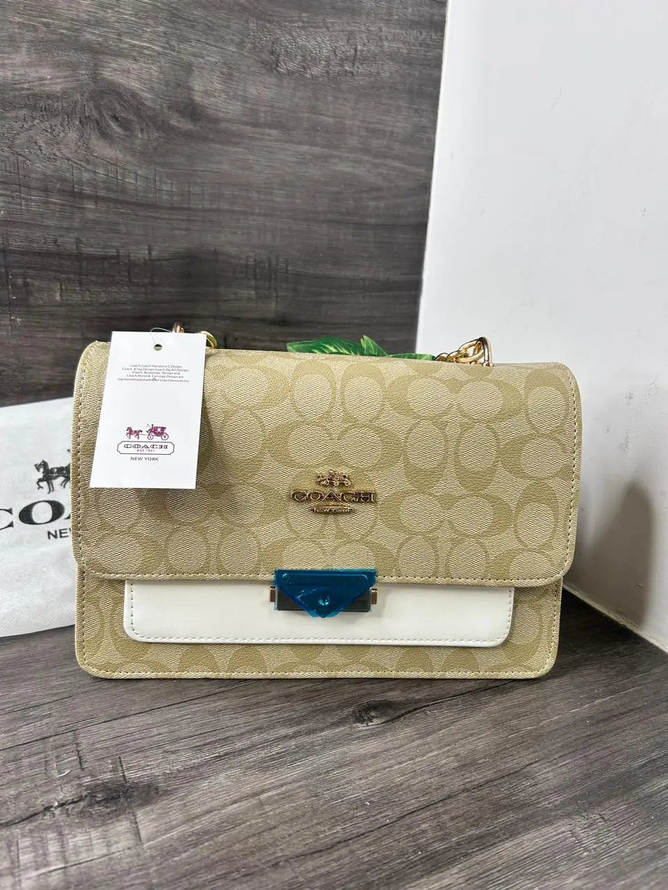 COACH_Sling_Bag_1009