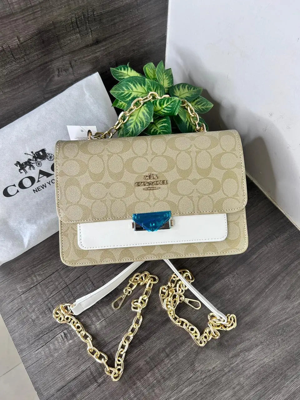 COACH_Sling_Bag_1009